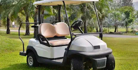 Golf Carts Inventory